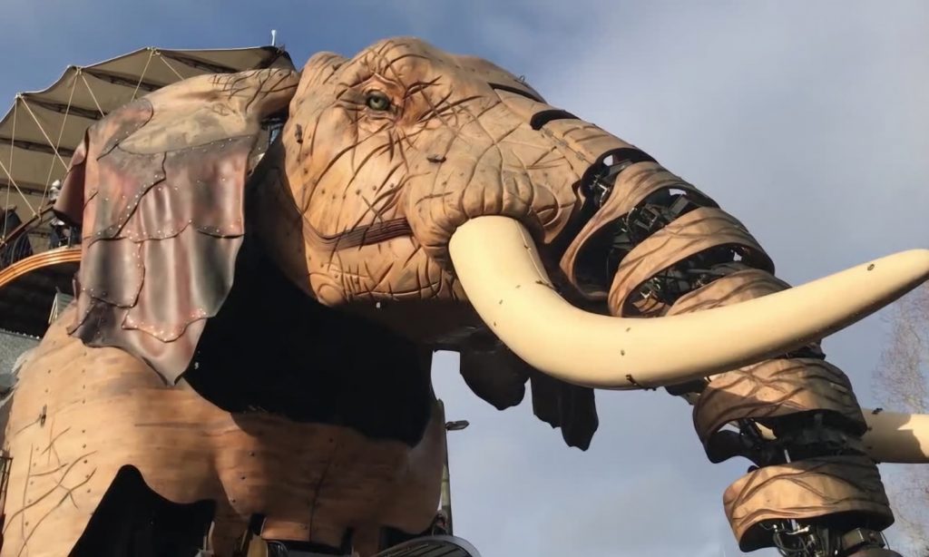 Sortir à Nantes le dimanche 25 janvier : les meilleurs événements du jour