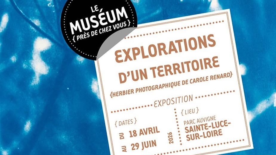 FB_IMG_1776092529731